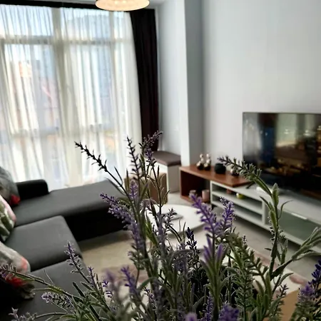 Apartment Sunny Balcony Kika2